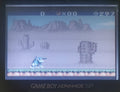 Donkey Kong 5 A Journey Over Time and Space Video Game Boy Color GBC