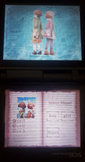 Avalon Code DS NDS Video Game Cartridge Nintendo DS 2009