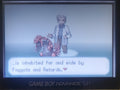 Pokemon Sako GBA ROM Hack Video Game Custom Gameboy Advance