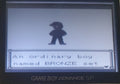 Pokemon Bronze 2 GBC Video Game Gameboy Color ROM Hack