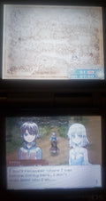 Rune Factory A Fantasy Harvest Moon NDS Video Game Nintendo DS 2006