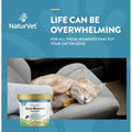 6X NaturVet Quiet Moments Calming Aid + Melatonin Soft Chews for Cats 60ct