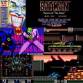 Batman Return of the Joker NES Video Game Nintendo Entertainment System