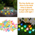 Pcs Luminous Mini Resin Ducks Tiny Glow in The Dark Duck Micro Garden Landsc