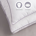 Allie by Porch & Den Lavender Scented Cotton Pillow Protector