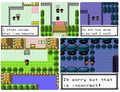 Pokemon Bronze 2 GBC Video Game Gameboy Color ROM Hack