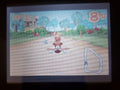 Diddy Kong Pilot GBA Video Game Cartridge Game Boy Advance Nintendo