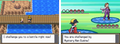 Pokemon Pure Heart NDS Nintendo DS Custom ROM Hack Video Game
