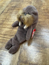 RARE VINTAGE TY Beanie Baby Jolly The Walrus Retired 1996 With Errors