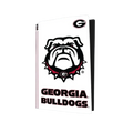 Georgia Bulldogs VarsityWrapz