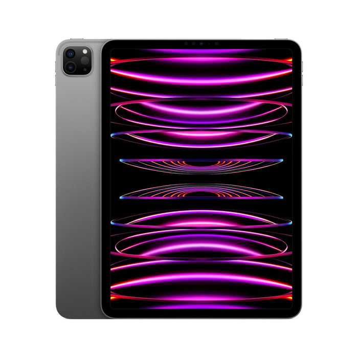 Apple iPad Pro 11 in. 4th Gen (2022) Refurbished - Fair Condition