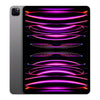 Apple iPad Pro 12.9 in. 6th Gen (2022) Refurbished - Fair Condition