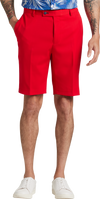 Paisley and Gray Mens Slim Fit Shorts