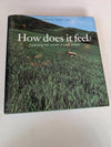 How Does It Feel Exploring the World of Your Senses by Csaky Mick