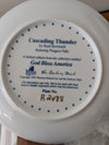 Cascading Thunder from The Danbury Mint - 1993 Wall Decor (Porcelain Collector Plate, Patriotic, Wildlife, Nature, White, Blue, Gold)