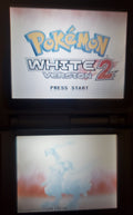 Pokemon White Version 2 NDS Video Game Cartridge Nintendo DS 2012 R4