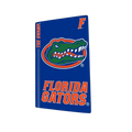 Florida Gators PS5 VarsityWrapz