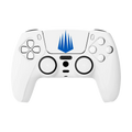 IMG Academy PS5 Touchpad Stickers