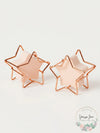 2 PC RH Macy Beauty Collection Cosmetic Star Shaped Sponge & Holder Pink