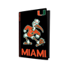 Miami Hurricanes PS5 VarsityWrapz