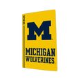 Michigan Wolverines PS5 VarsityWrapz