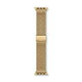 Steel Strap Gold 38 40 41 42MM (Small Watch)