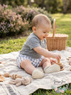 First Impressions Baby Boys Windowpane Plaid Shorts-Size 6-9Mo