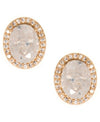 Lonna & Lilly Gold-Tone Stone & Crystal Halo Stud Earrings